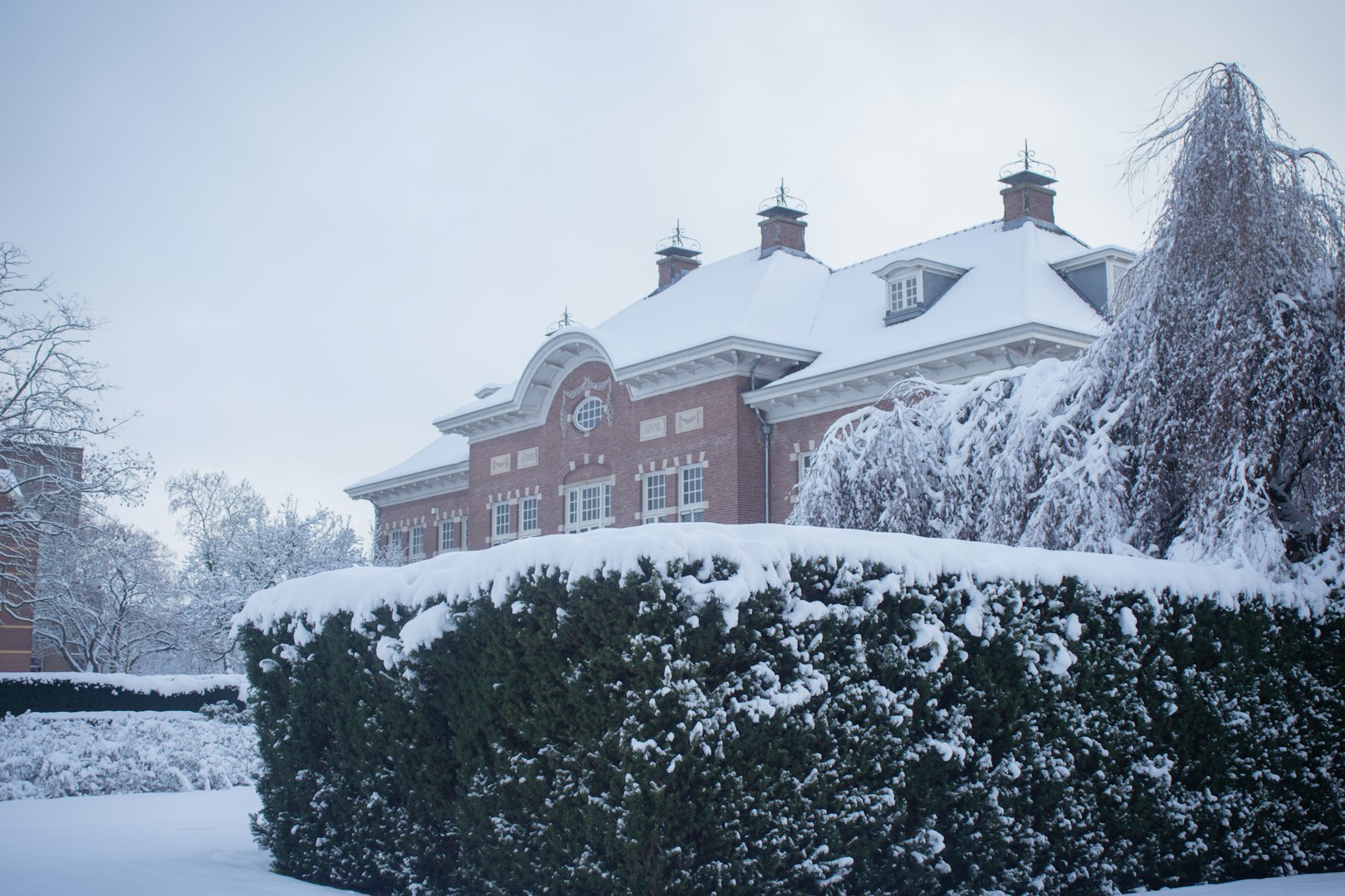 Hedgerow in Winter, (S.K., Unsplash)